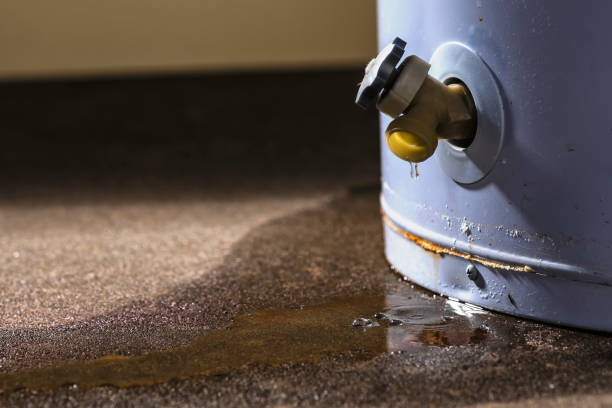  Ravenna, NE Water damage restoration Pros