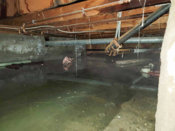 Best 24/7 water damage repair  in Ravenna, NE