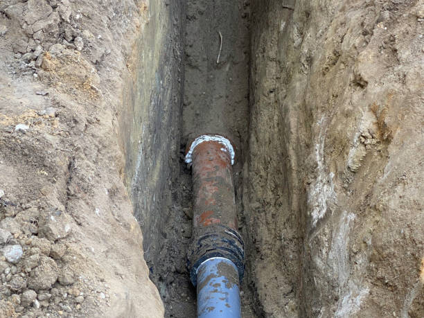 Best Sewage cleanup and water damage restoration  in Ravenna, NE