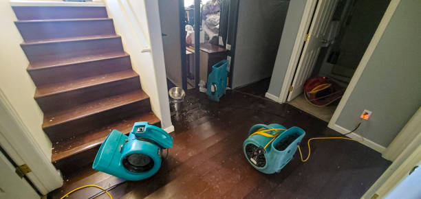 Best Flood restoration services  in Ravenna, NE