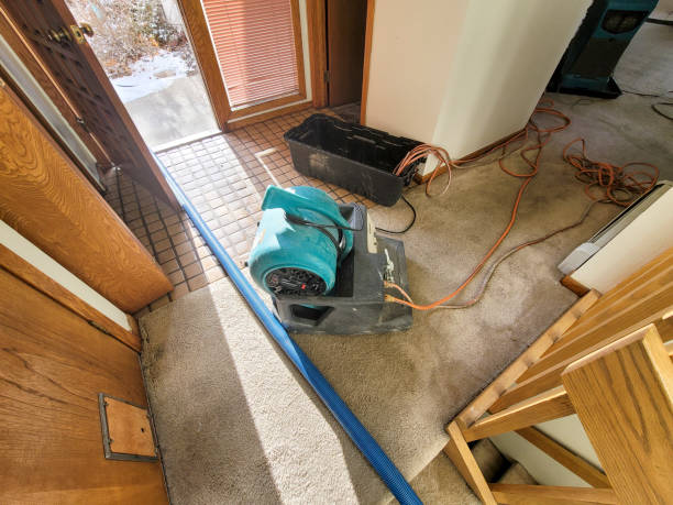 Best Water damage cleanup near me  in Ravenna, NE