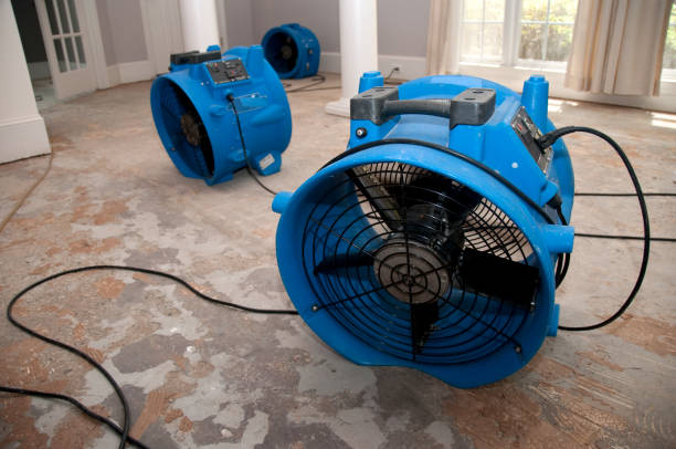 Best Water damage restoration near me  in Ravenna, NE